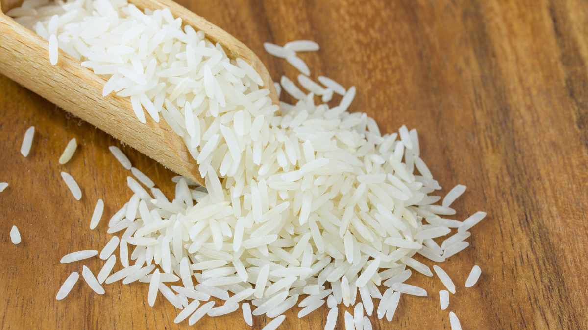 India Launches Made-In-Philippines Rice Variety In Eastern Regions To Boost Productivity 