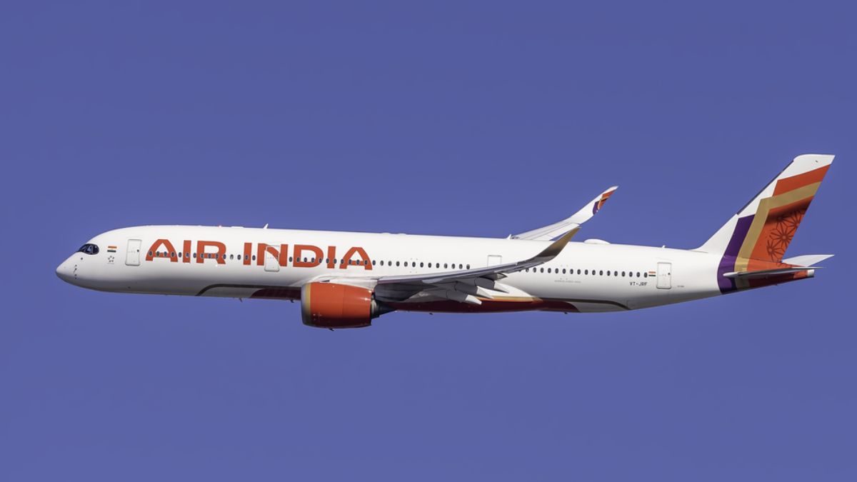 Air India Delhi-Pune Flight Suffers Bird Hit; Return Journey Cancelled, Airline Offers Refund