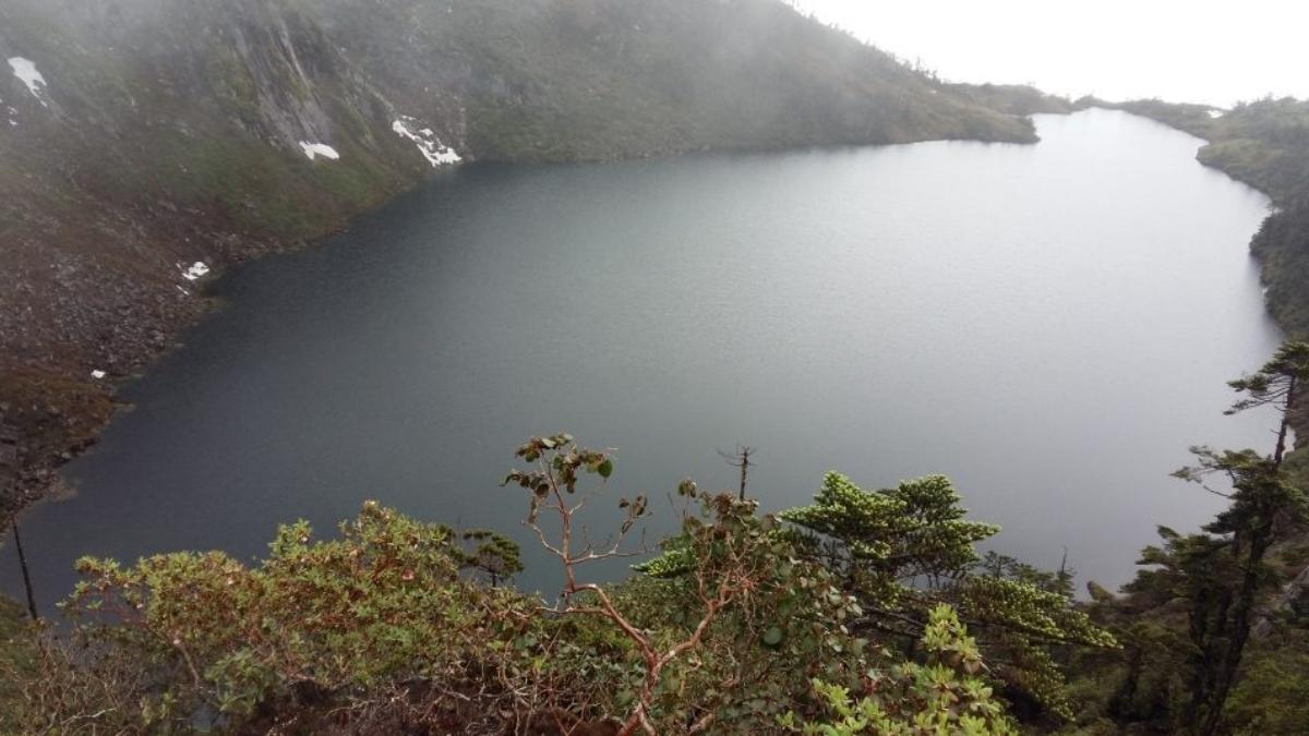 India’s Remotest Valley In Arunachal Pradesh Is A Tapestry Of Forests, Snow Passes And Is Anand Mahindra-Approved!
