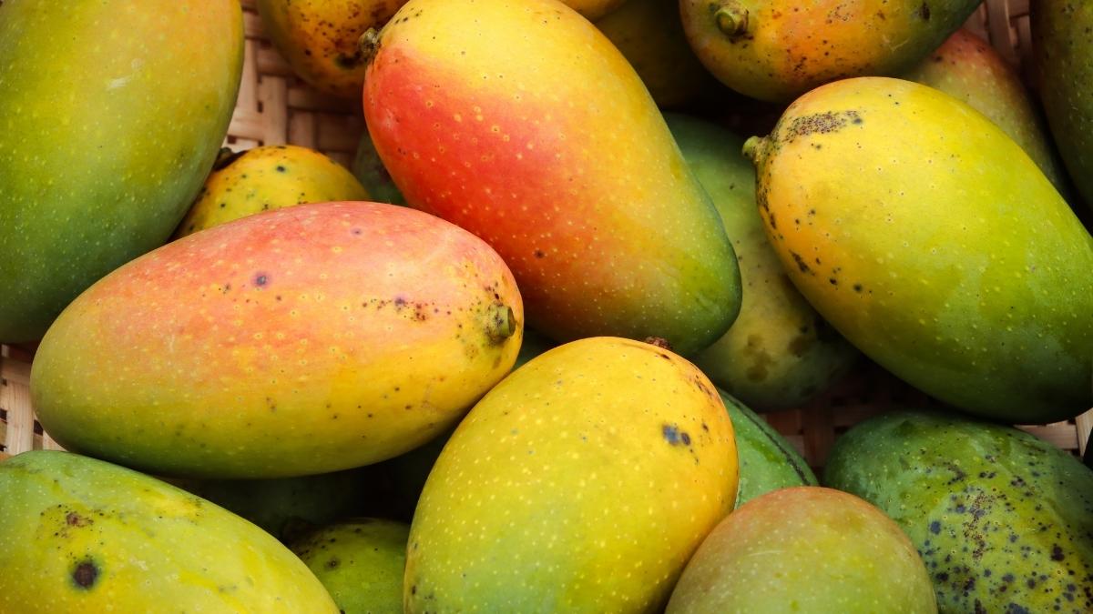 Desis In Dubai, Now Find India’s Dussehri Mangoes Right Here In Dubai. And, We’re Telling You Where