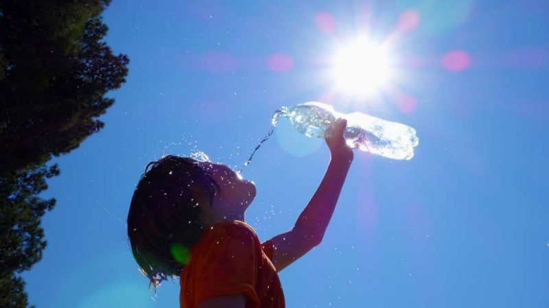 Europe heatwave