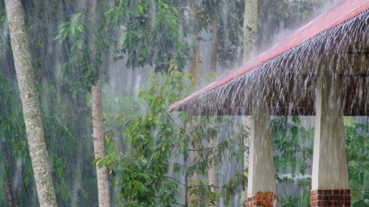 Rain Forecast India: Heavy Rain Alert For Kerala, Karnataka, Mumbai; Respite Expected In Delhi