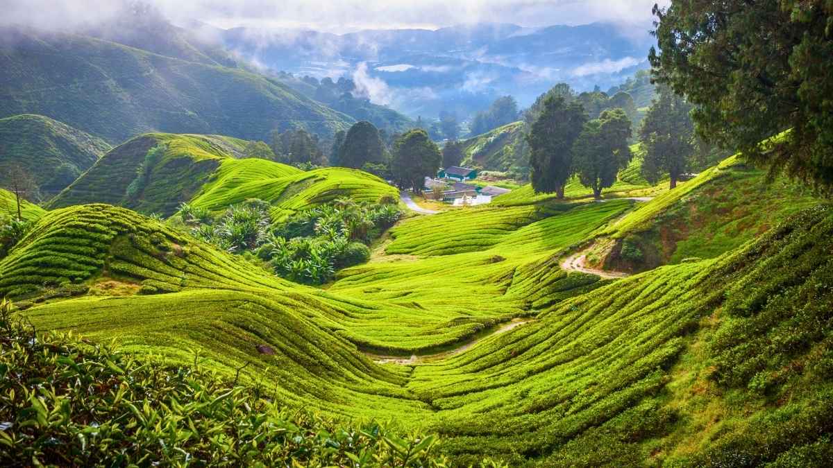 Malaysia Sees 47% YoY Increase In Accommodation Searches From Indian Travellers As Visa Restrictions Ease