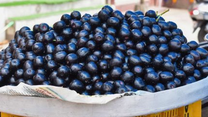 Jamun, Internet’s Newest Obsession, Should Be In Your Pantry This Season; Benefits & Easy Recipes Inside