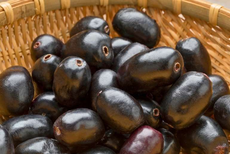 jamun benefits
