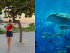 Floating Just Metres Away From Wild Sharks In The Maldives Was The Most Surreal And Powerful Experience Of My Life