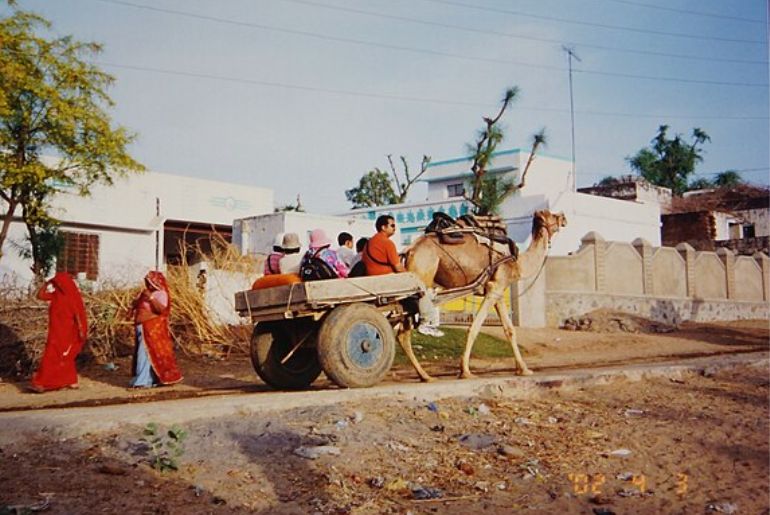 Phulera panchayat