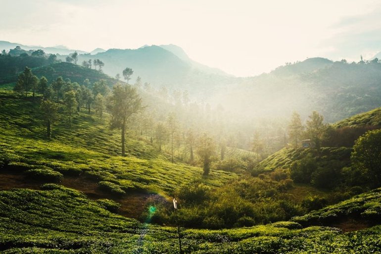 Monsoon Travel India 