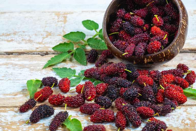 expensive fruits