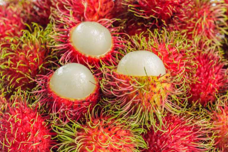 rambutan