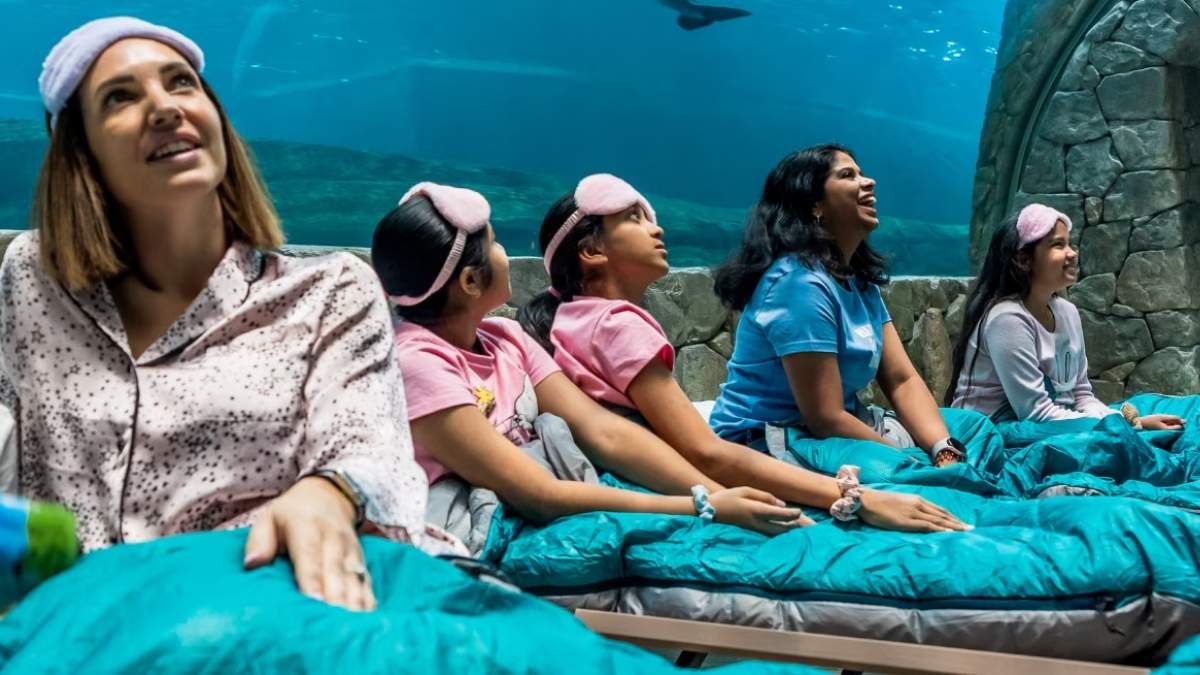 Sign Up For a Unique Sleepover With Fishes At SeaWorld This June; Tickets Start At AED975