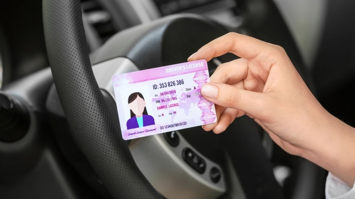 You Can Get Free Driving License In Sharjah Under This Initiative; Here’s How