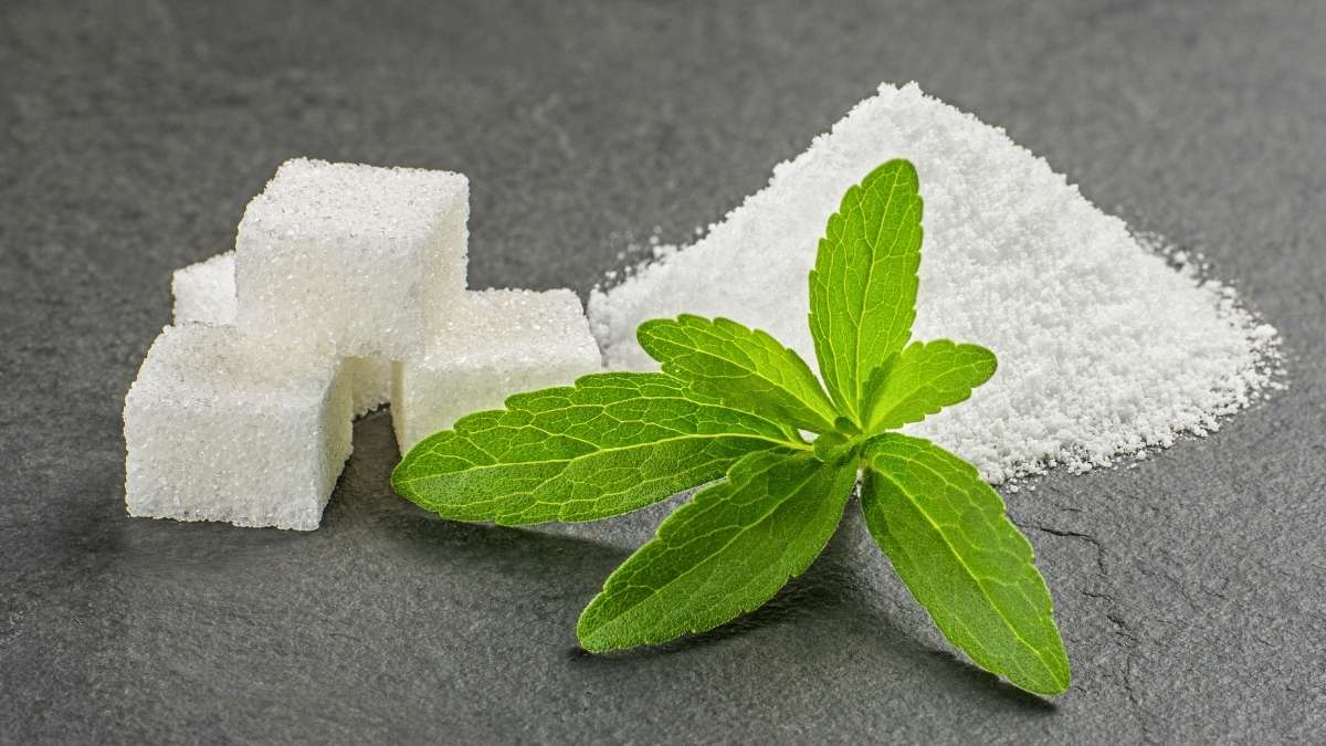 Planning To Replace Sugar With Stevia? Here’s Everything You Should Know!