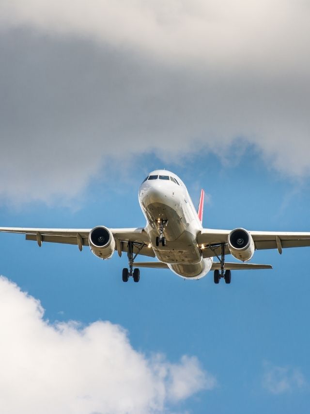 airline by manfredxy