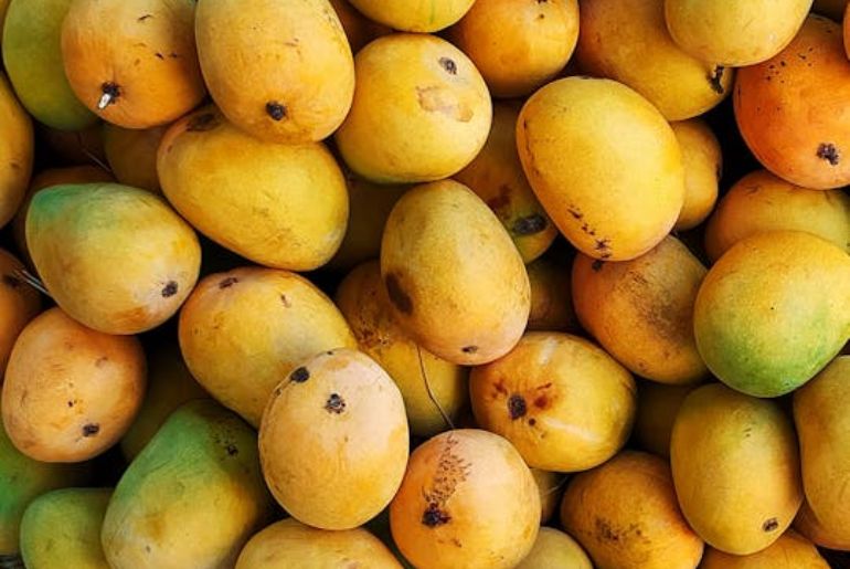expensive mango varieties in India