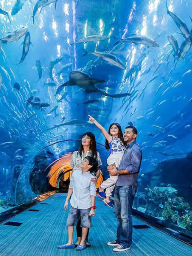 7 FREE Indoor Activities In Dubai To Explore This Summer