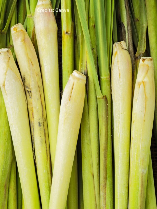 lemongrass benefits