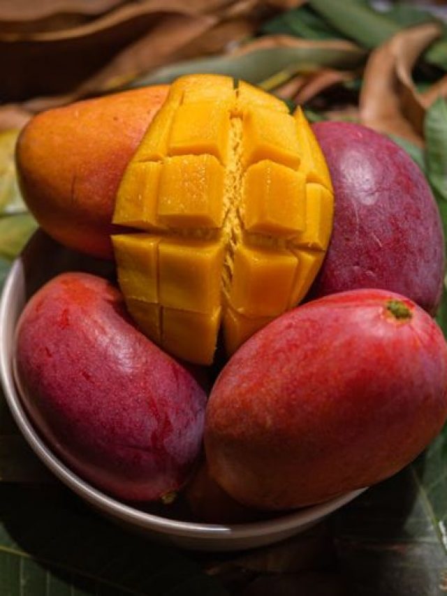 cropped-miyazaki-mango-2.jpg