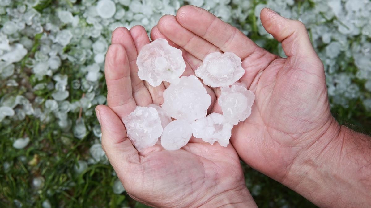 26th Abha Shopping Festival To Hail In Al Ain; 5 GCC Updates For You