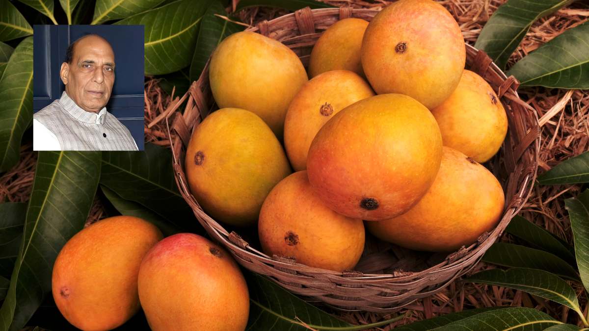 India Has A New ‘Rajnath Aam’ Named After Rajnath Singh, By A Padma Shri Horticulturist 