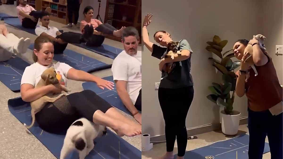 Australian High Commission Marks Yoga Day 2025 With An Adorable Puppy Twist