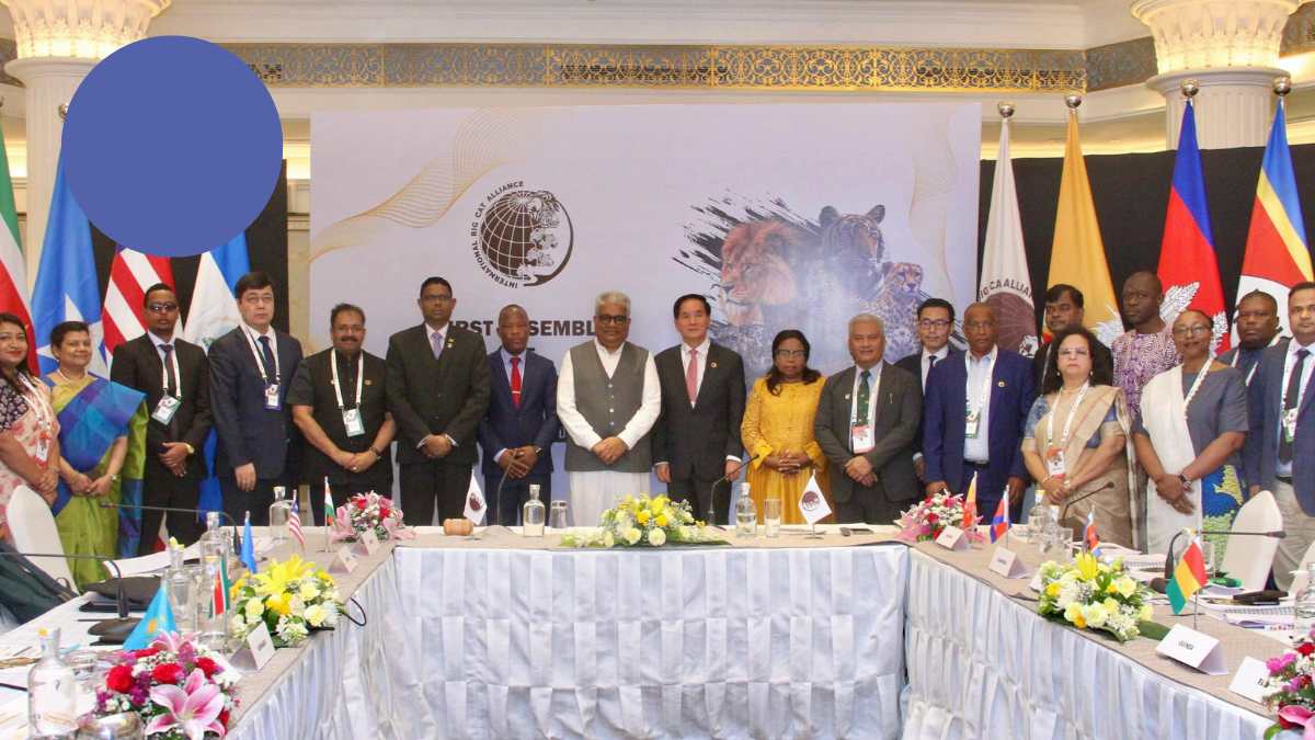 International Big Cat Alliance In Delhi: India & Kazakhstan Collab For Snow Leopard Breeding
