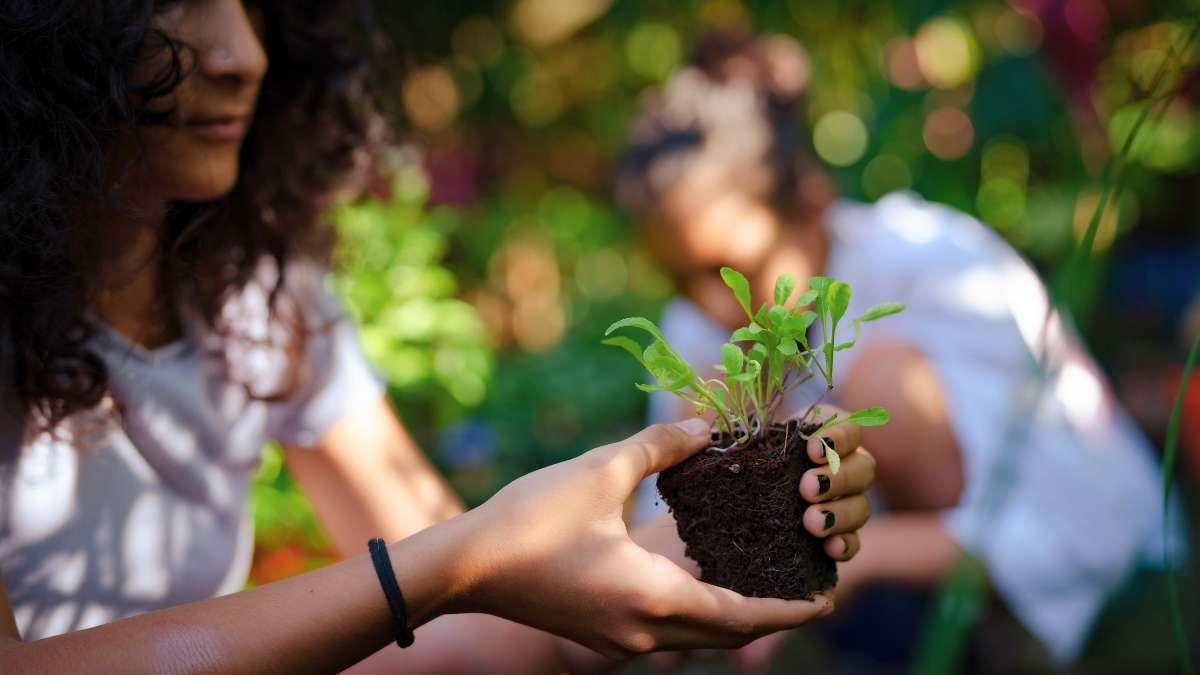 In A First, India Makes It To Top 100 In Global Sustainable Development Goals Rankings