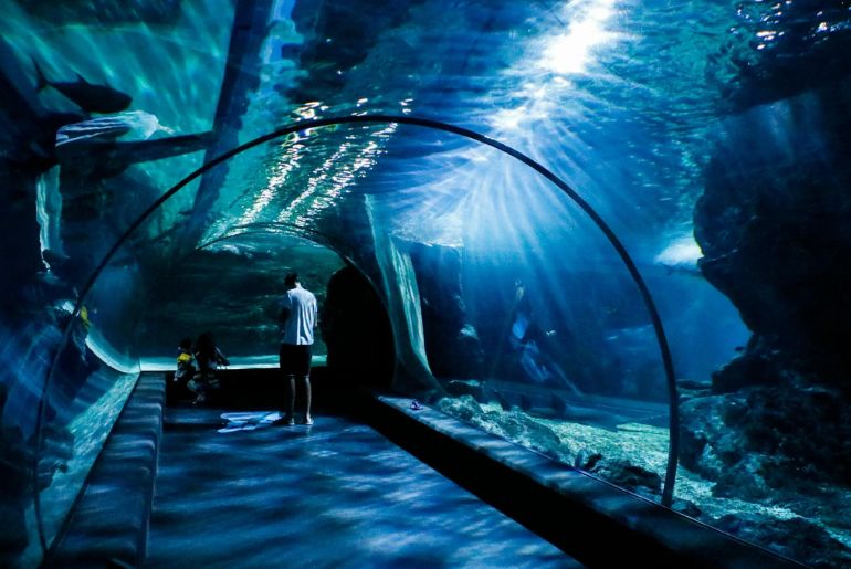 India's largest aquarium 