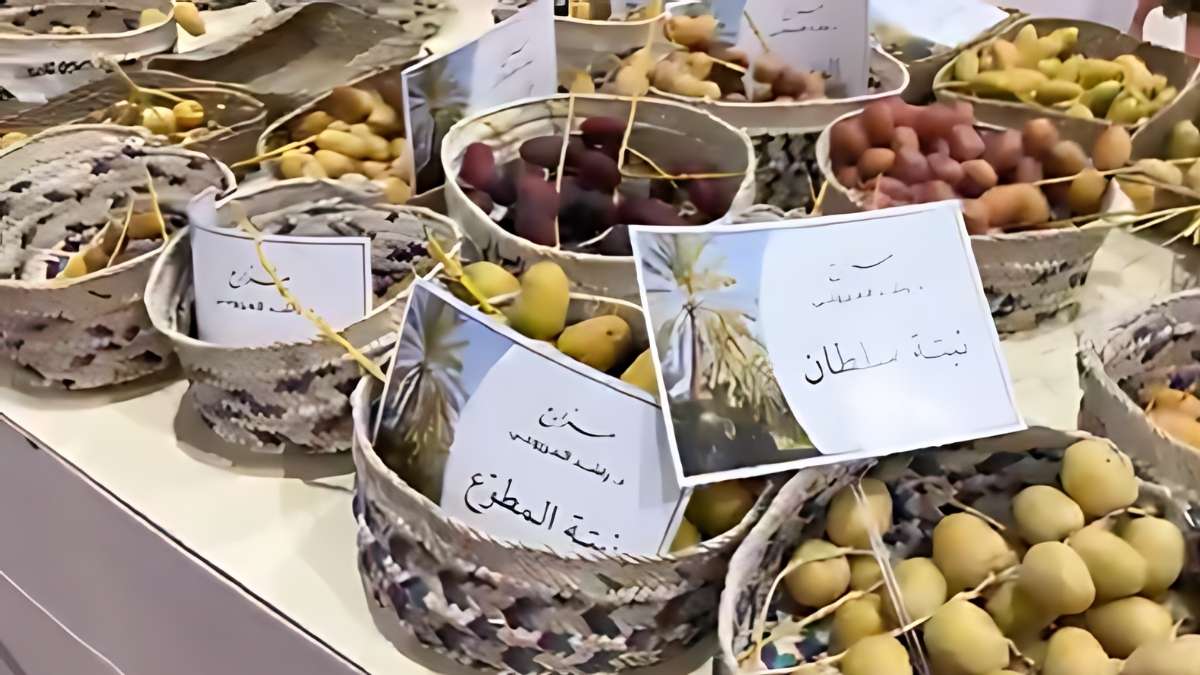 Sharjah: 9th Edition Of Al Dhaid Date Festival Kicks Off With Farmers’ Participation, Prizes & More