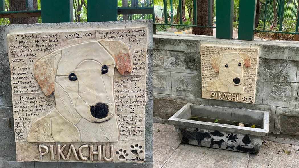 Bengaluru Remembers ‘Pikachu’ The Stray, While BBMP Serves 5,000 More Like Him