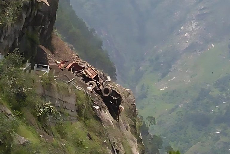 Dog Himachal Pradesh
