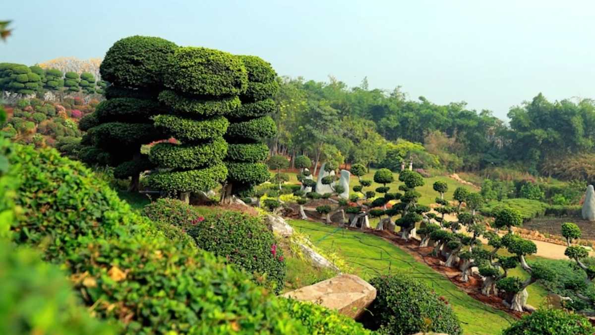This Monsoon, Visit Hyderabad’s Experium Eco Park With Tickets Starting ₹299