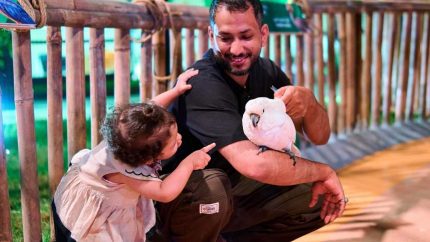 What Is Forest Wonders That Was Recently Unveiled By Jeddah Season 2025?
