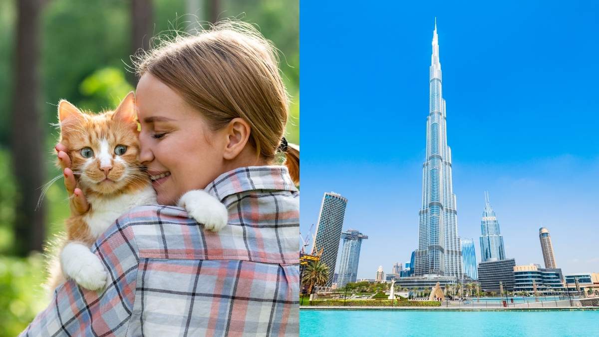 From UAE’s Pet Insurance To World’s Largest Graffiti Exhibition At Burj Khalifa, 5 GCC Updates For You