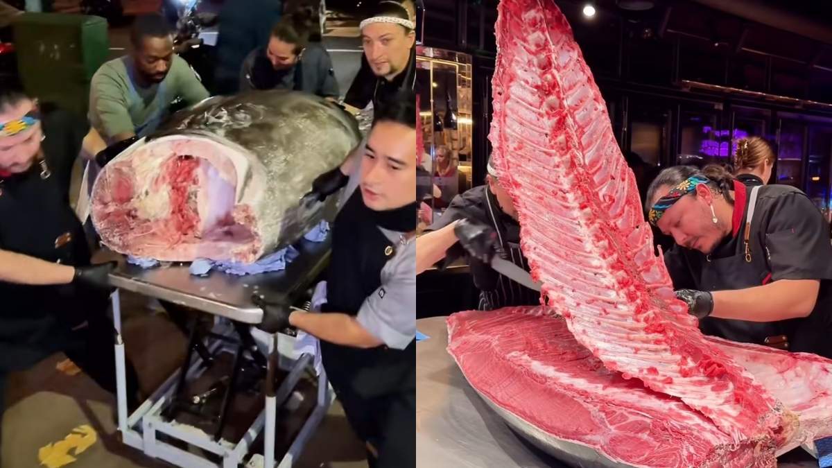 Inside London’s Most Absurd Fine Dining Ritual: A 300-Kilo Tuna, A Grocery Store, And £195 Entry