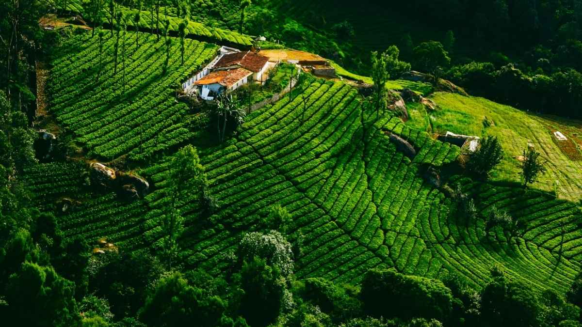 10 Beautiful Hill Stations Near Madurai That Are Worth The Drive