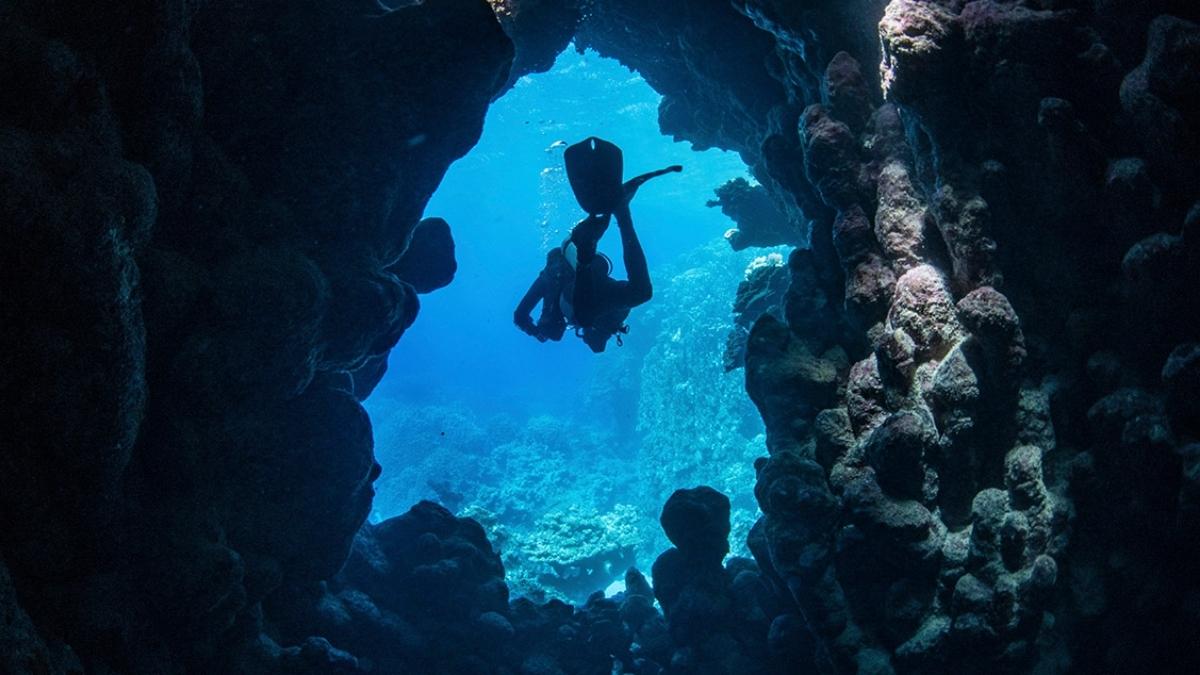 Did You Know Jeddah Has Sea Caves Where You Can Dive Up To 60 Metres Deep?