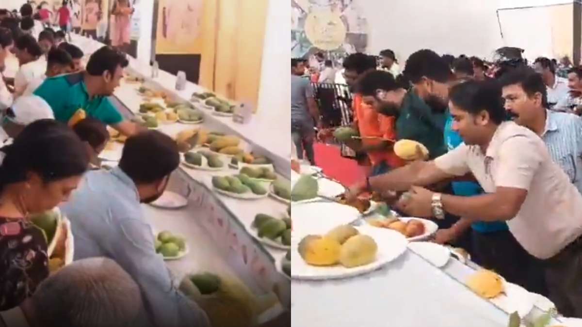 Civic Sense, What’s That? People Scramble To Grab Mangoes On Last Day Of Lucknow Mango Festival