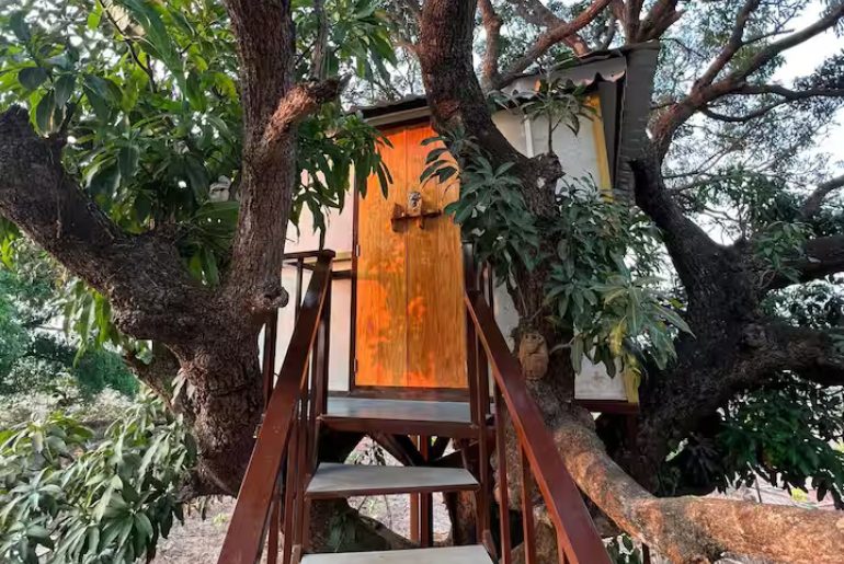 MARS Farm Jungle Adventure Lovely Tree House