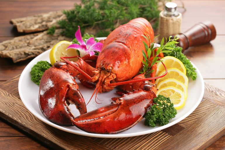 Maldivian Live Lobster