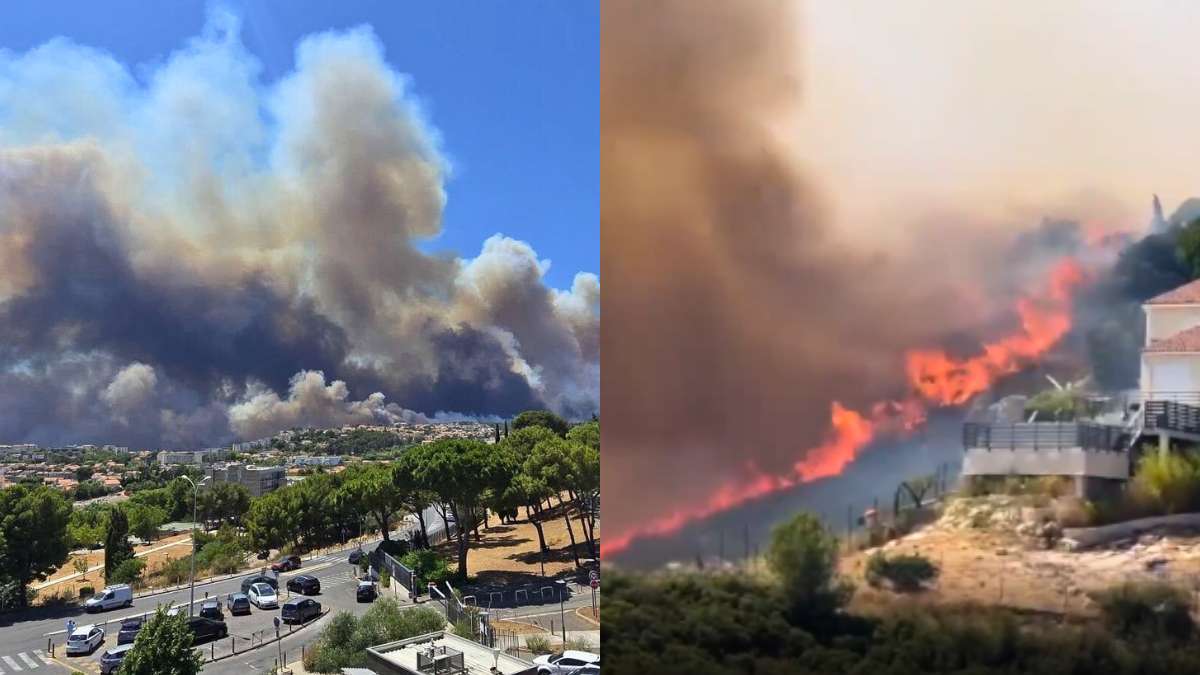 Marseille Wildfire: Airport Shut Down, Train Services Impacted; 100+ People Injured