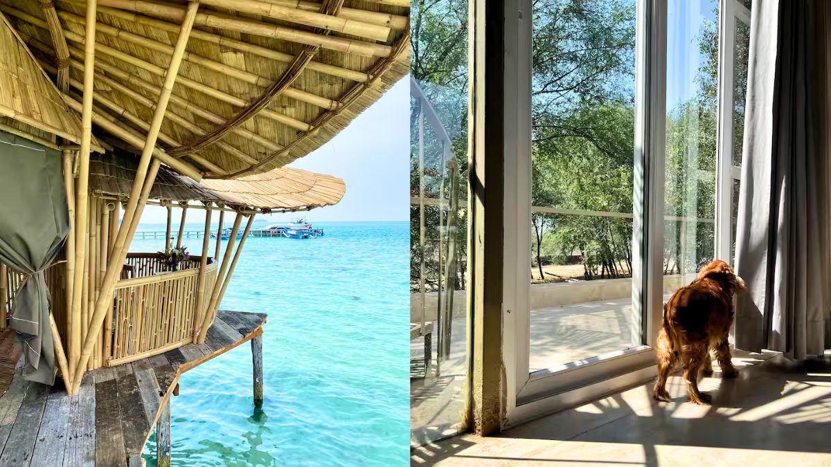 10 Best Airbnbs In India & Southeast Asia That Are Perfect For Pet Parents!