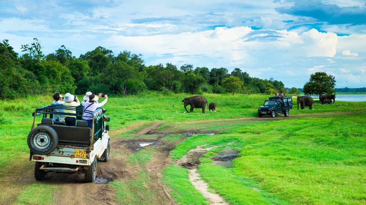 Indians Can Now Visit Sri Lanka Without A Visa & Here’s All You Need To Know About It