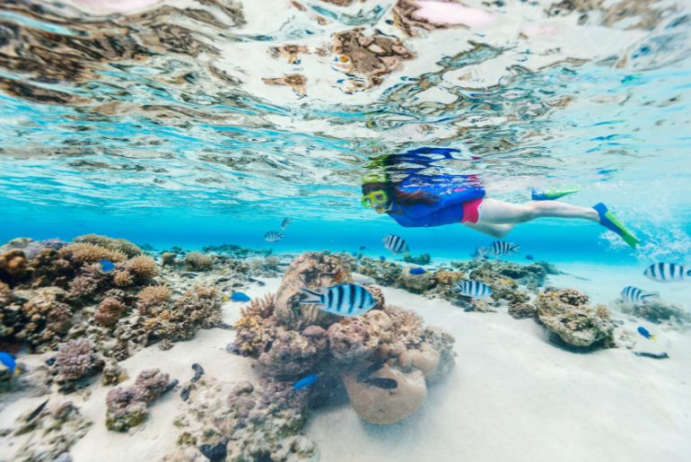 Tour of Three Places For Snorkelling Safari