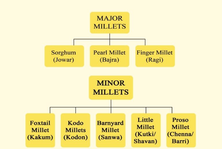 Types of millets
