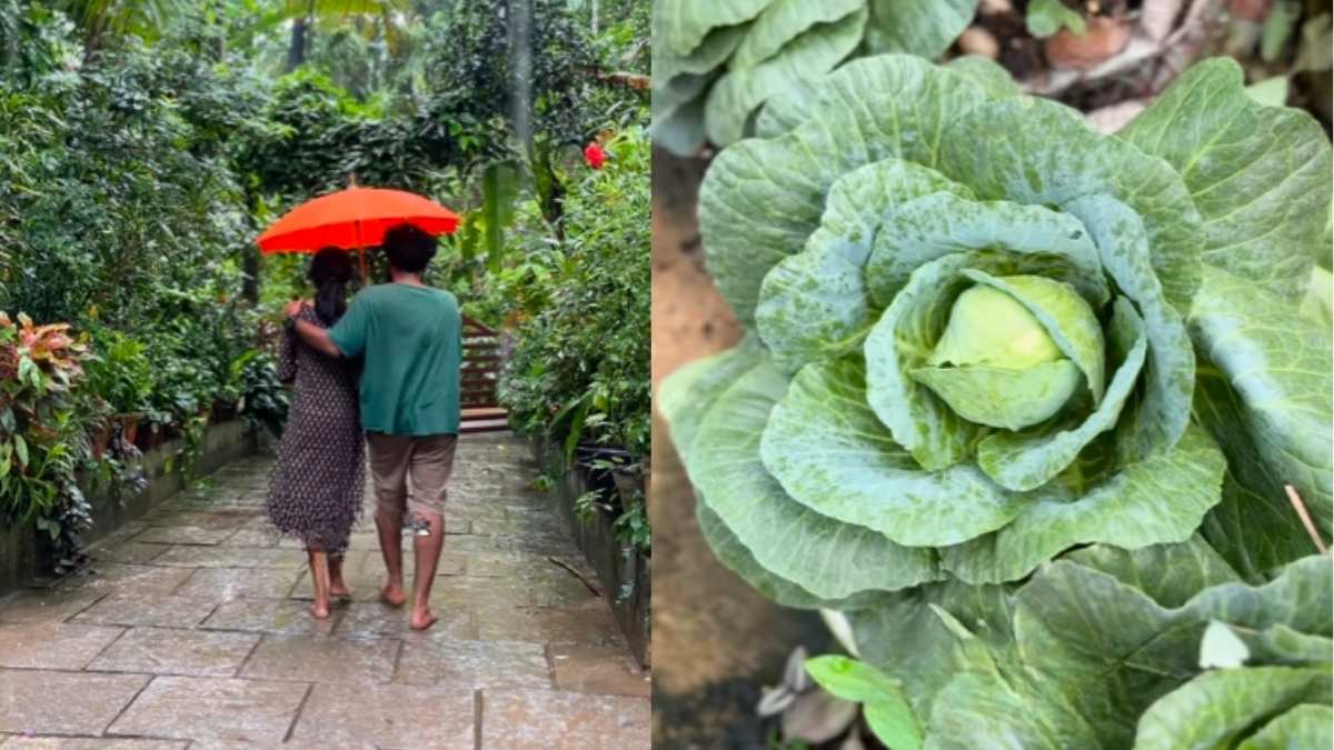 Indian Couple Lives With Zero Cost Of Living, Uses Biogas, Solar Power & Kitchen Garden