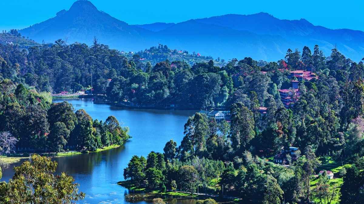 Built By A British Collector In 1863, Kodaikanal Lake Is A Star-Shaped Wonder Amidst The Palani Hills