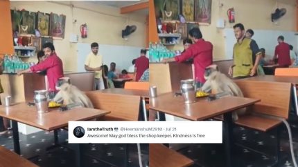 A Video Of Monkey Calmly Eating At Karnataka Hotel Wins Hearts; Netizens Say, “Kindness Is Free”