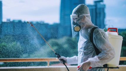 Chikungunya Cases Rise Globally, WHO Says It’s Spreading Just Like 20 Years Ago
