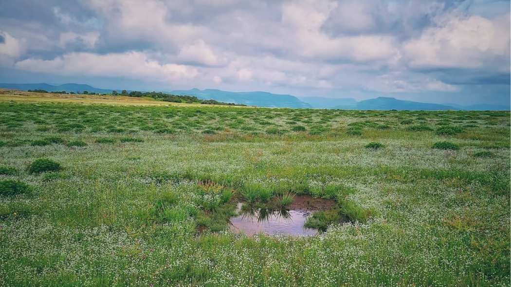 10 Valleys In Maharashtra That Deserve A Spot On Your Travel List